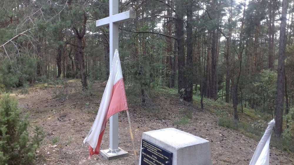 Krzyż na trasie spaceru w okolicy Moczalca
