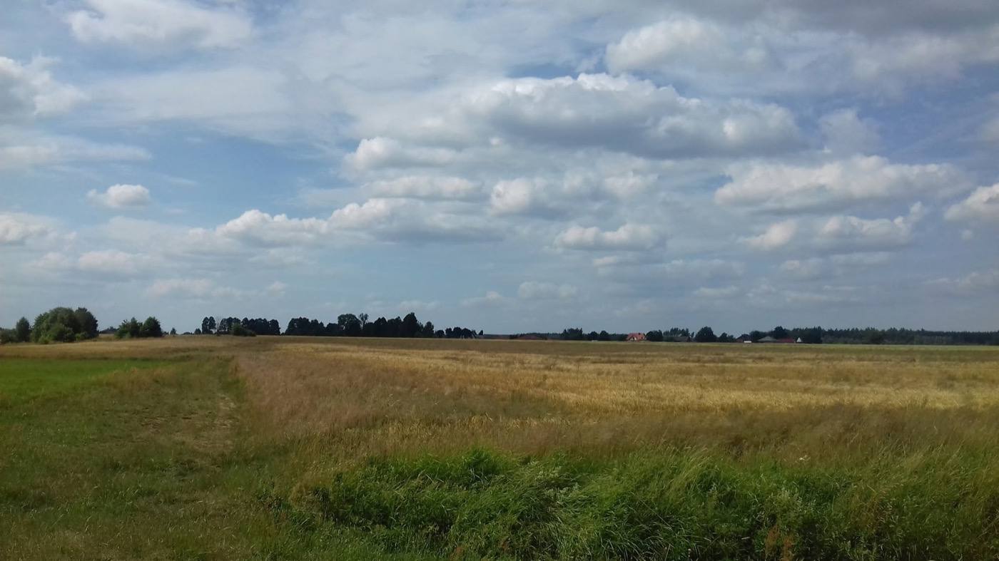 Pole i szerokie niebo niedaleko agroturystyki