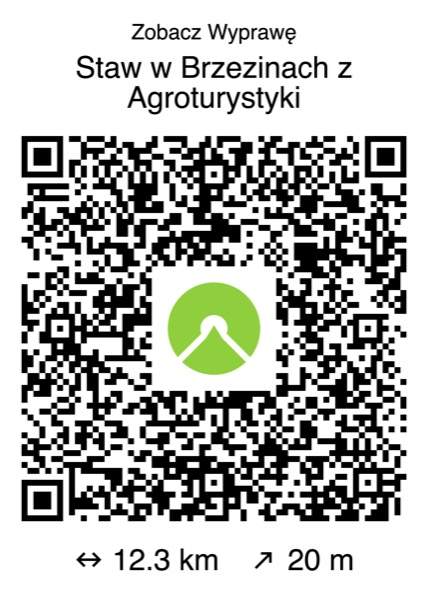 QR – Staw w Brzezinach